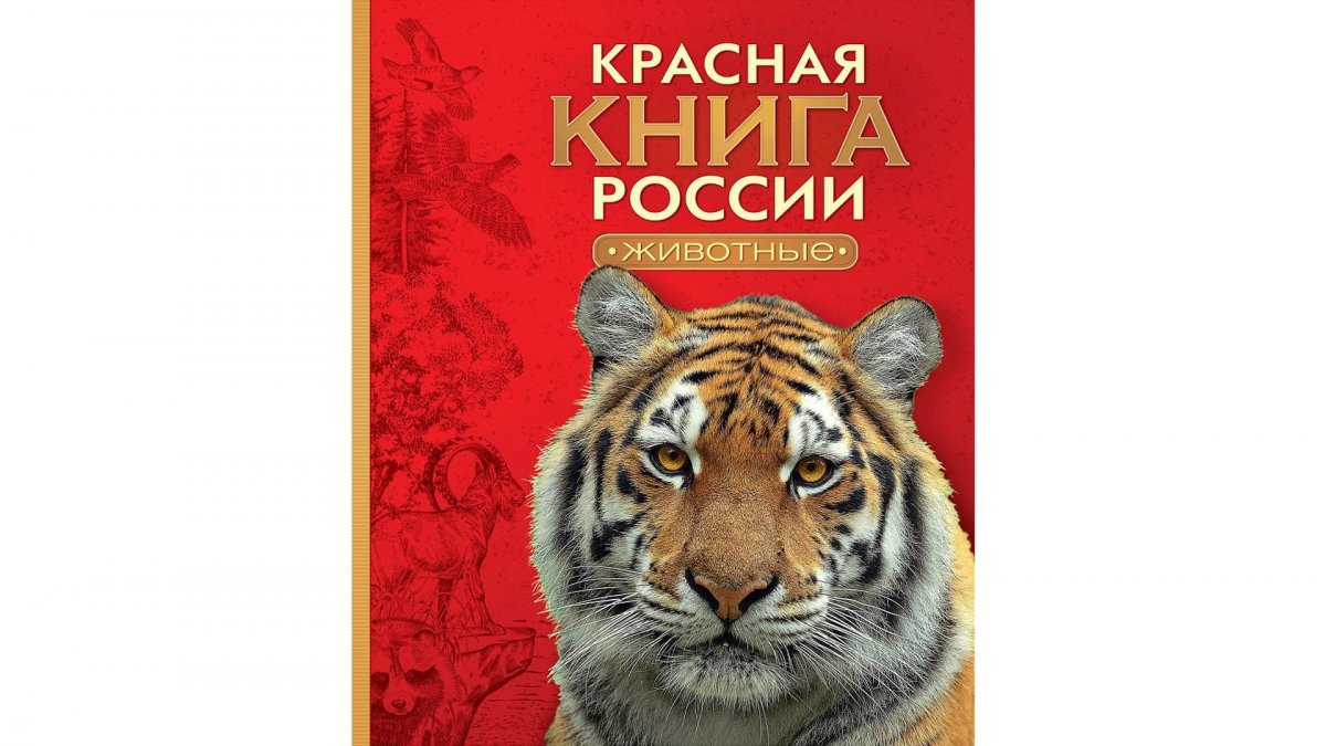 Красная книга РФ животные