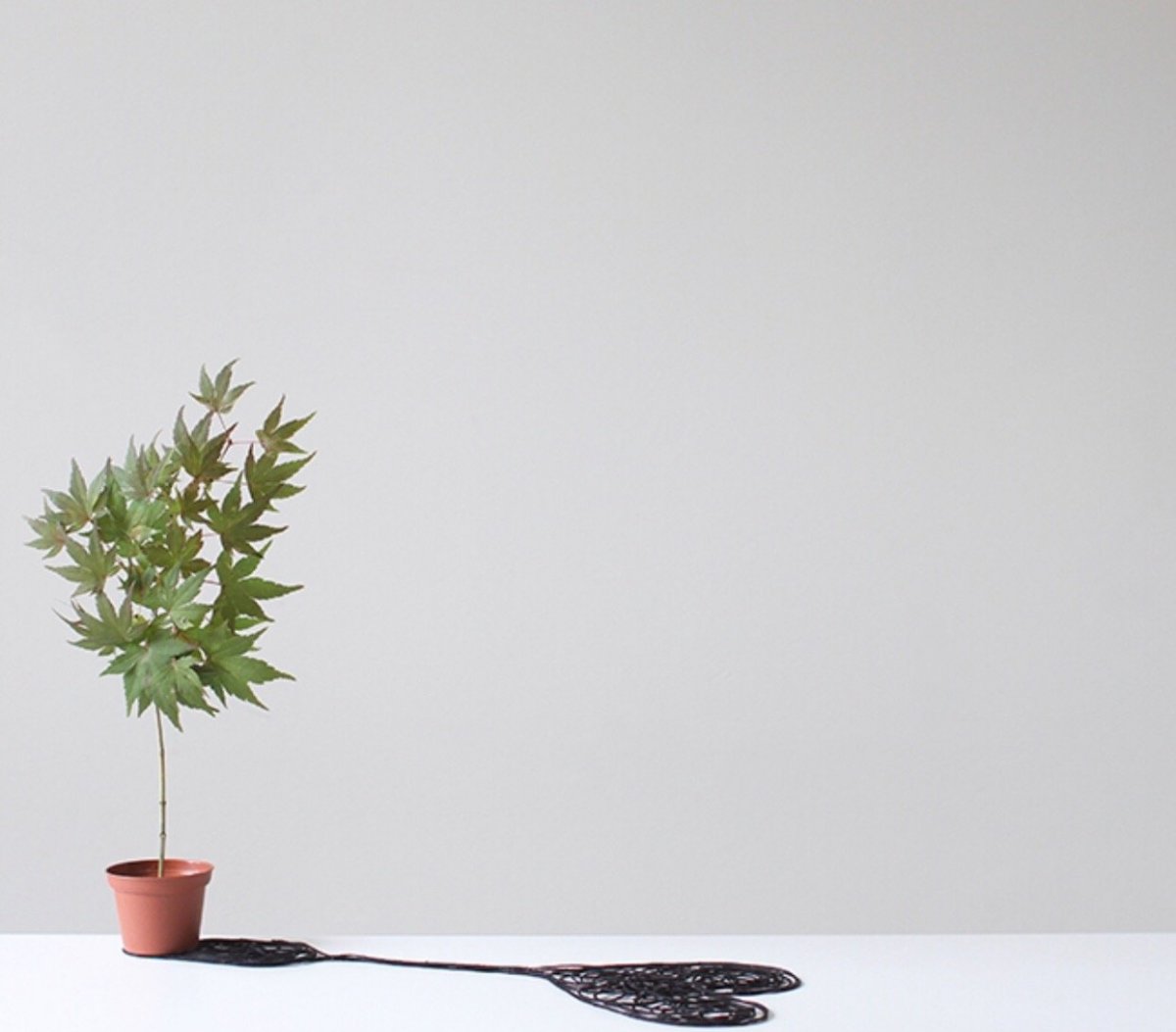 Peechaya Burroughs Минимализм