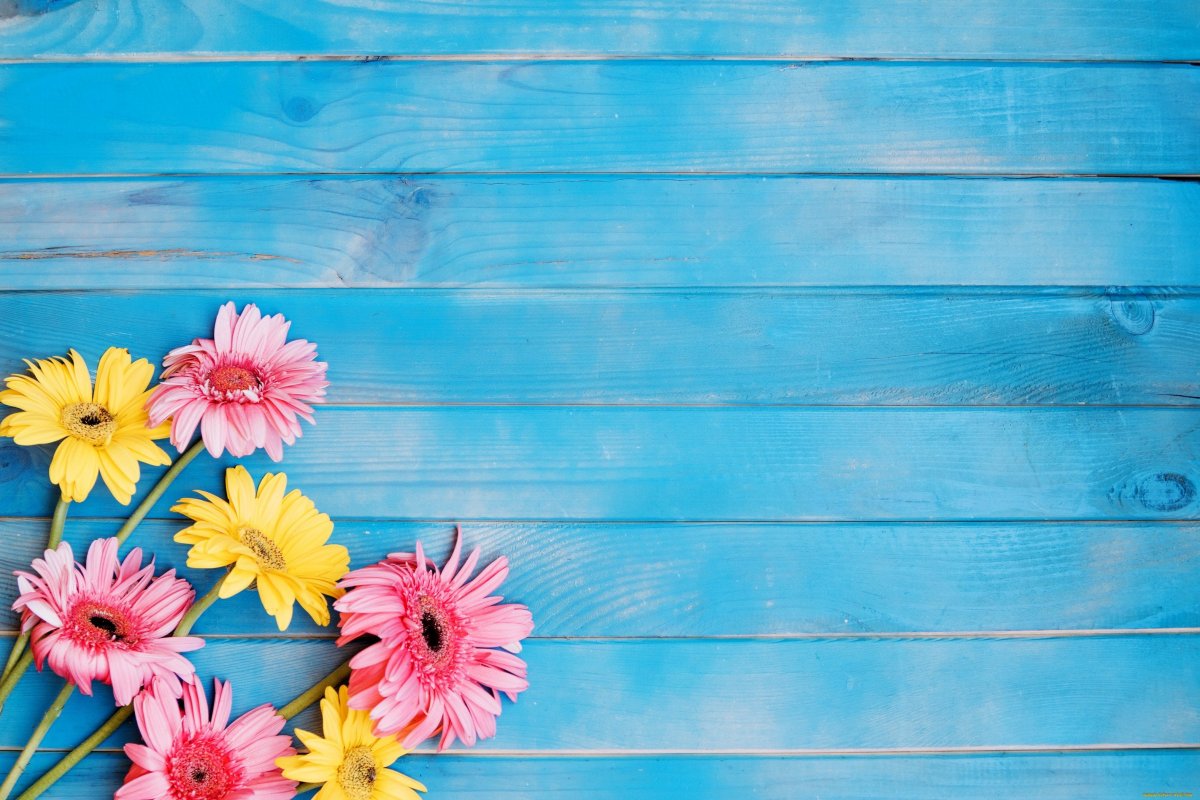 Красивый летний фон для текста