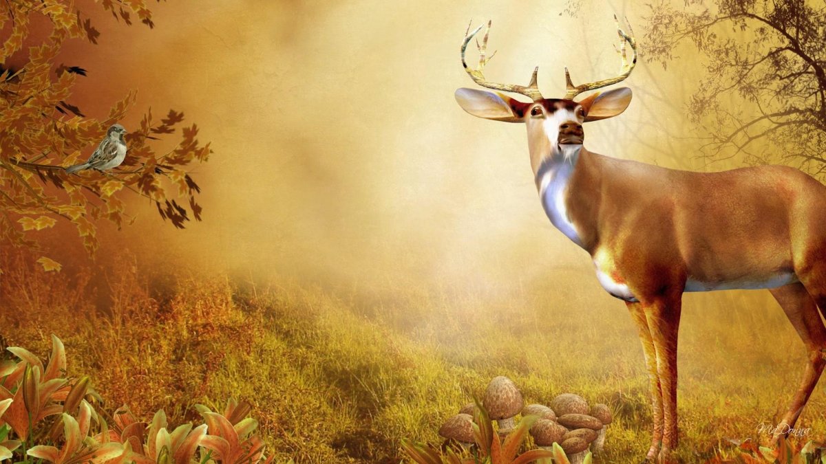 Олень осенью