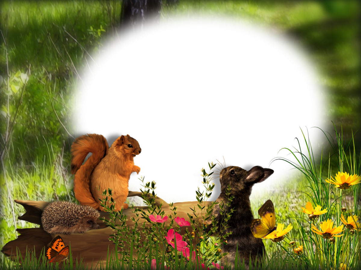 Красивые рамки с животными