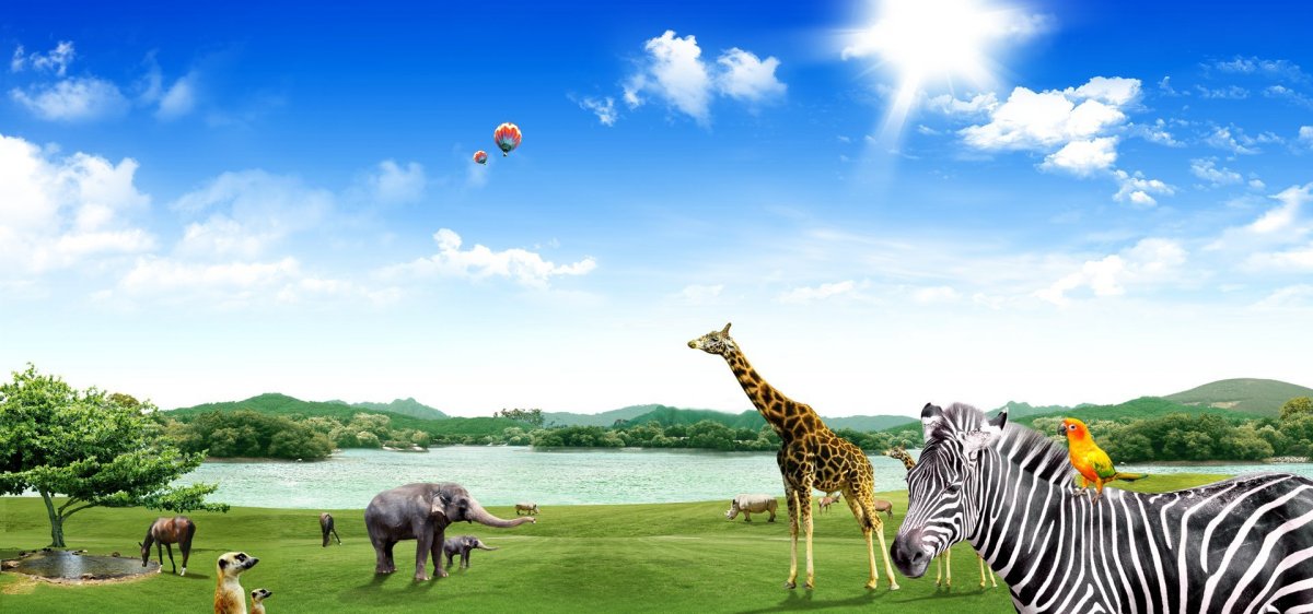 Баннер зоопарк