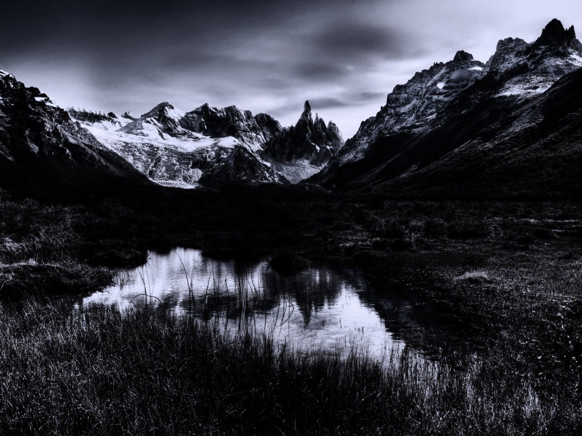 Темные обои