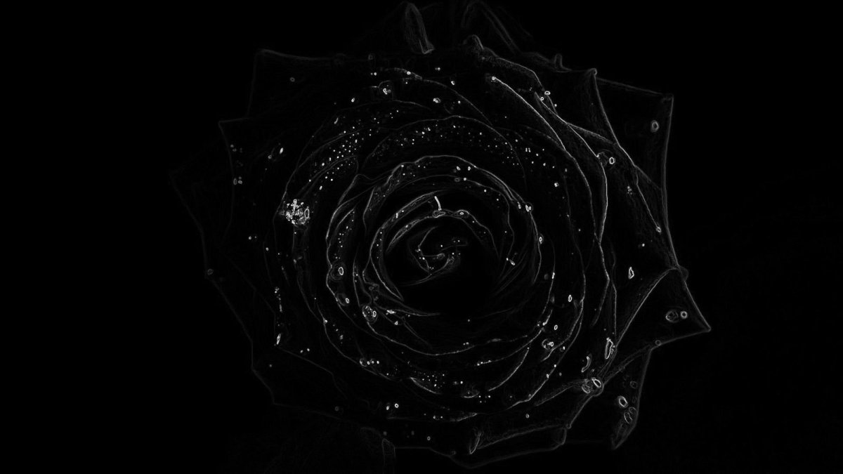 Красивые темные обои