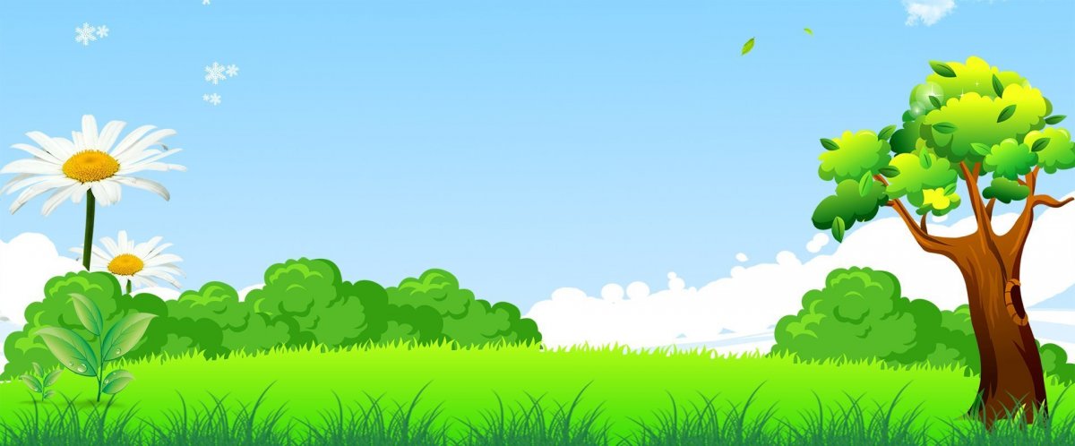 Мультяшная Поляна