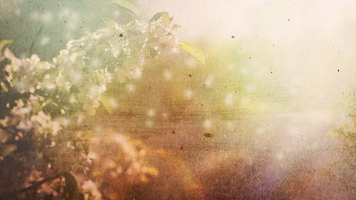 Красивый фон для портрета