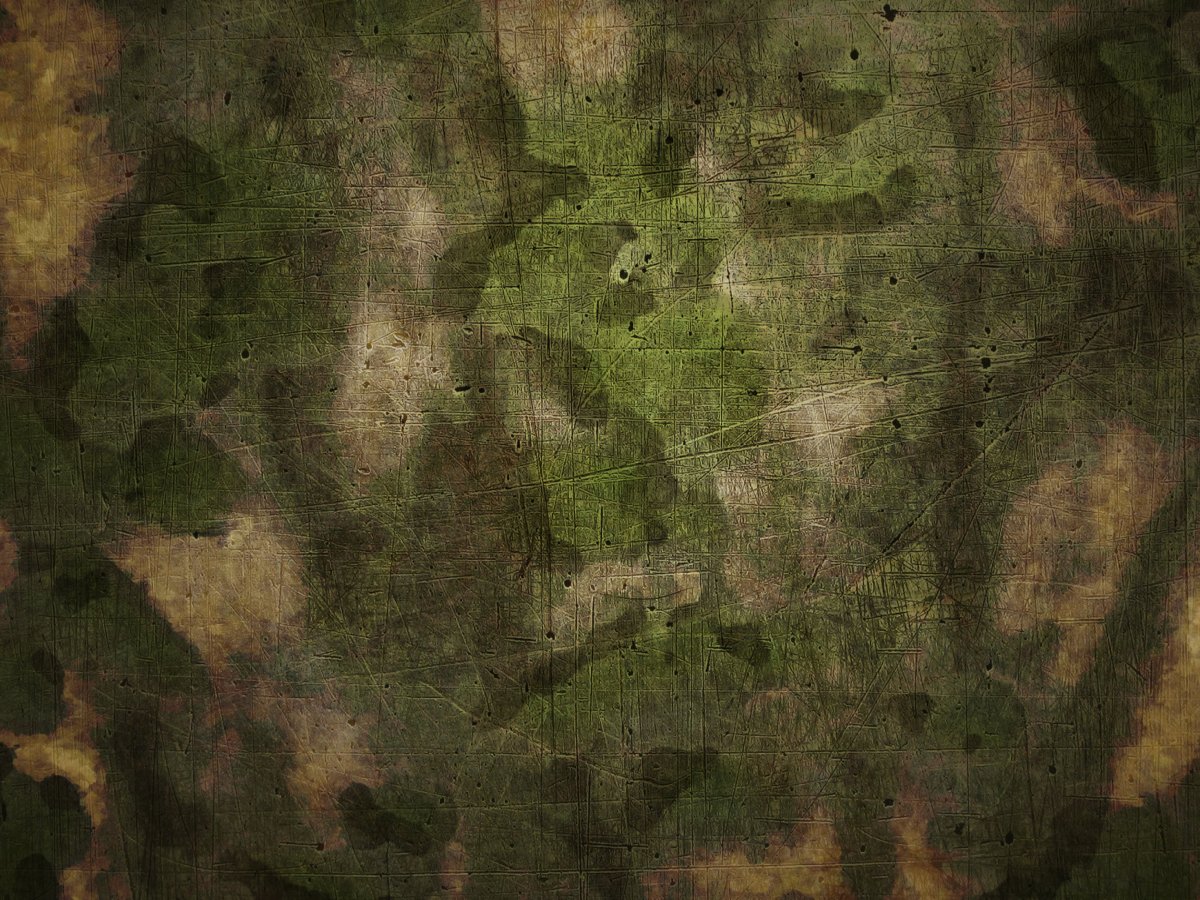 Расцветка a-TACS FG