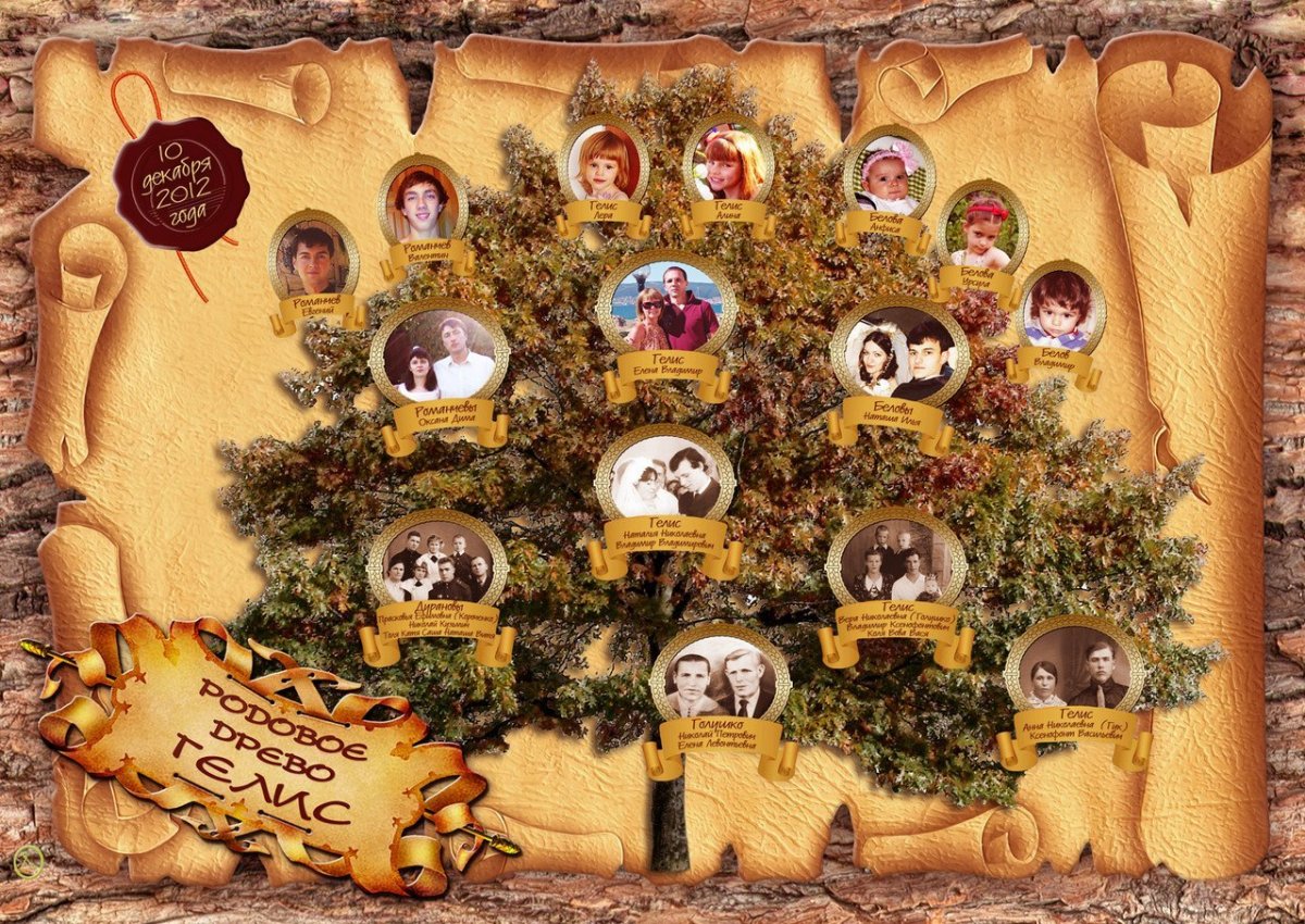 Семейное дерево