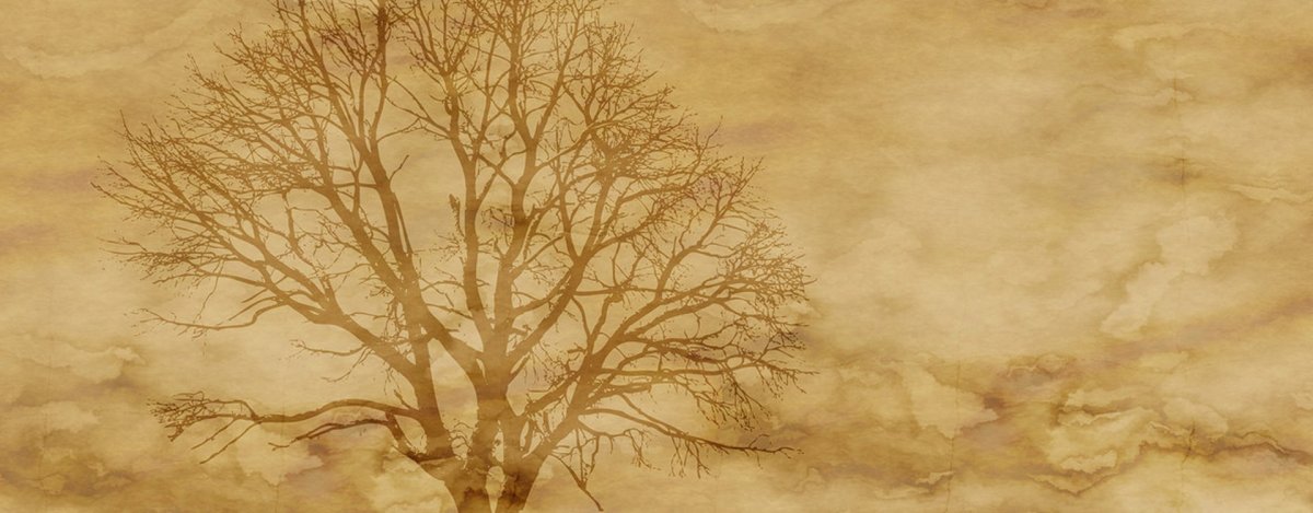 Бежевое дерево фон