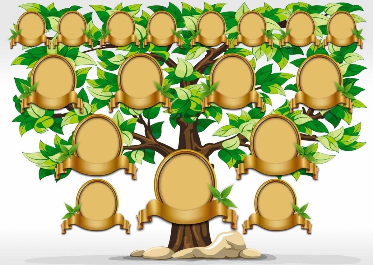 Рамки для родословного дерева