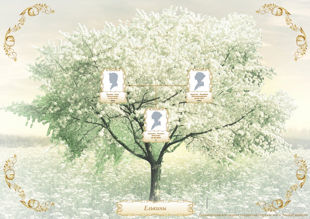 Фон для презентации генеалогическое Древо