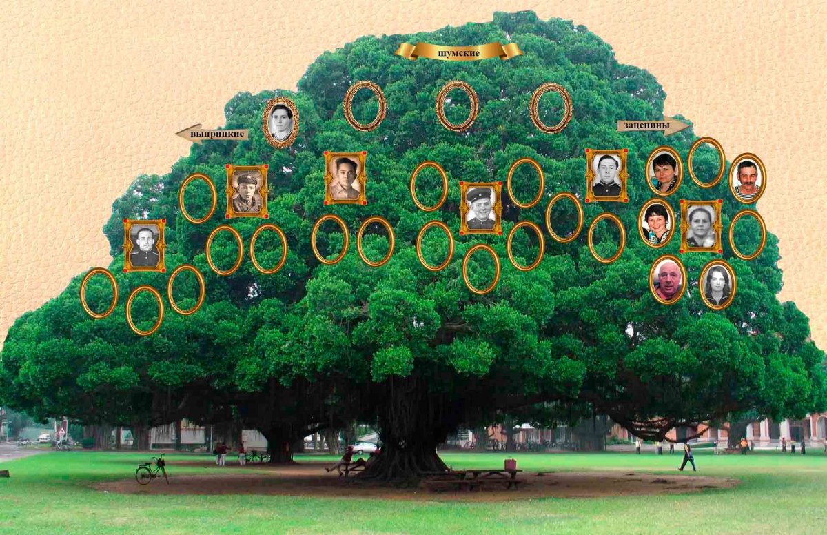 Генеалогическое Древо Николаса Кейджа