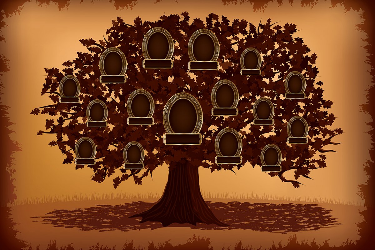 Огромное дерево для родословной