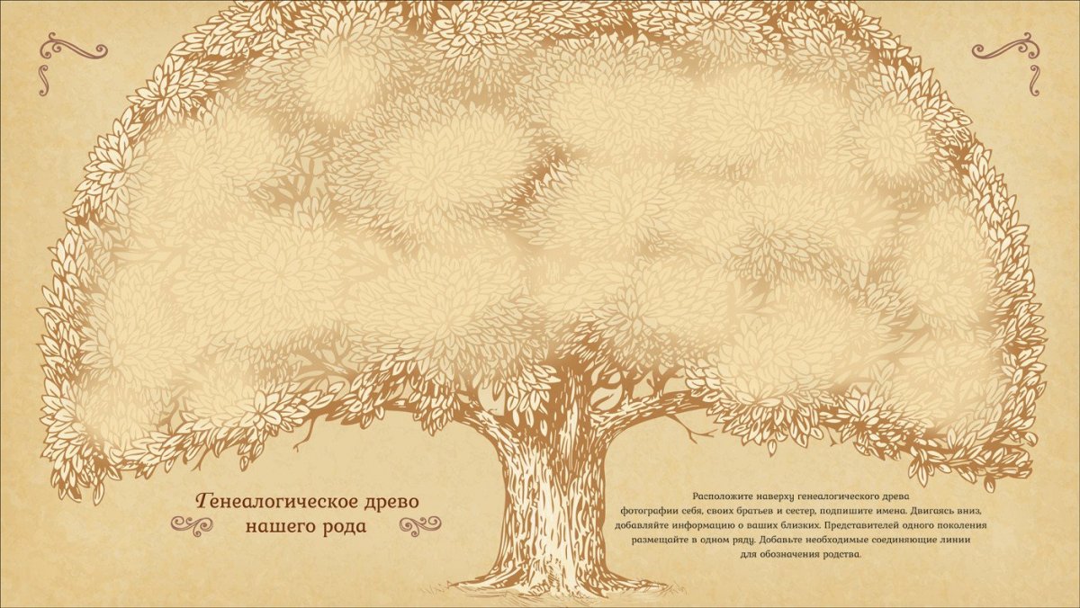 Фон для генеалогического дерева