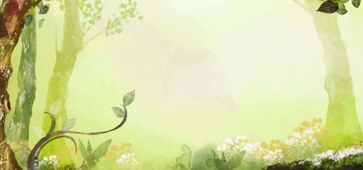 Лесной фон для презентации