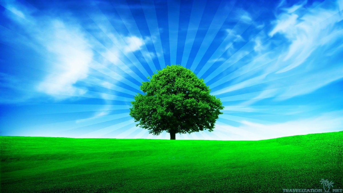 Дерево жизни зеленое