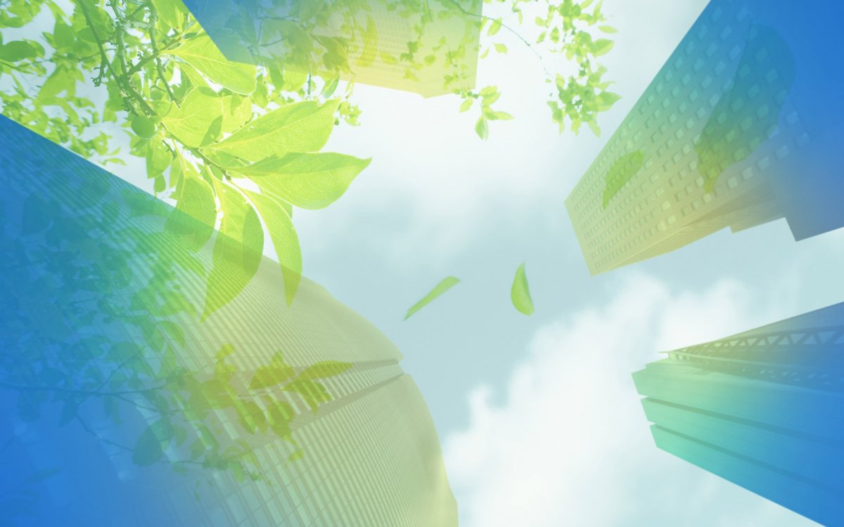 Экология фон