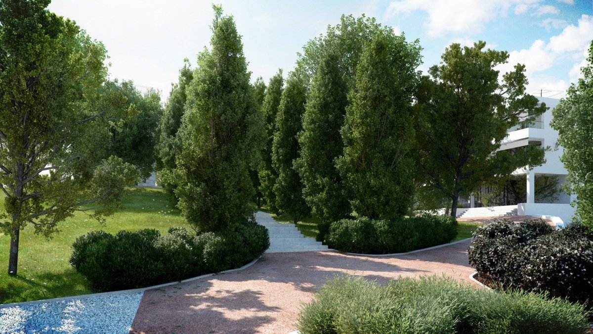 Вид за окном деревья