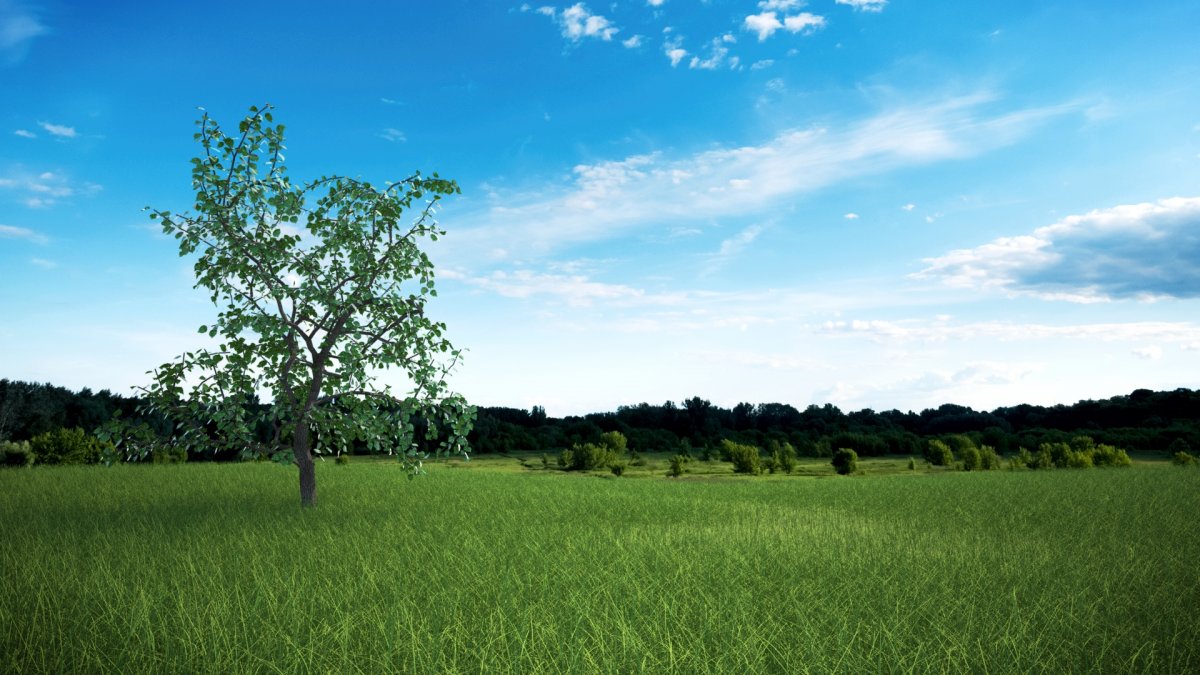 Панорама природы для 3d Max