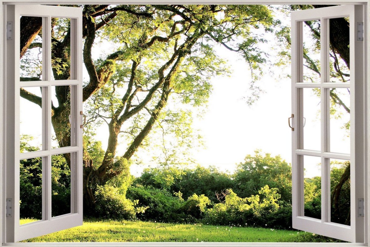 Окно с видом на природу