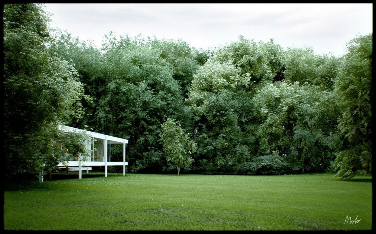 Деревья за окном