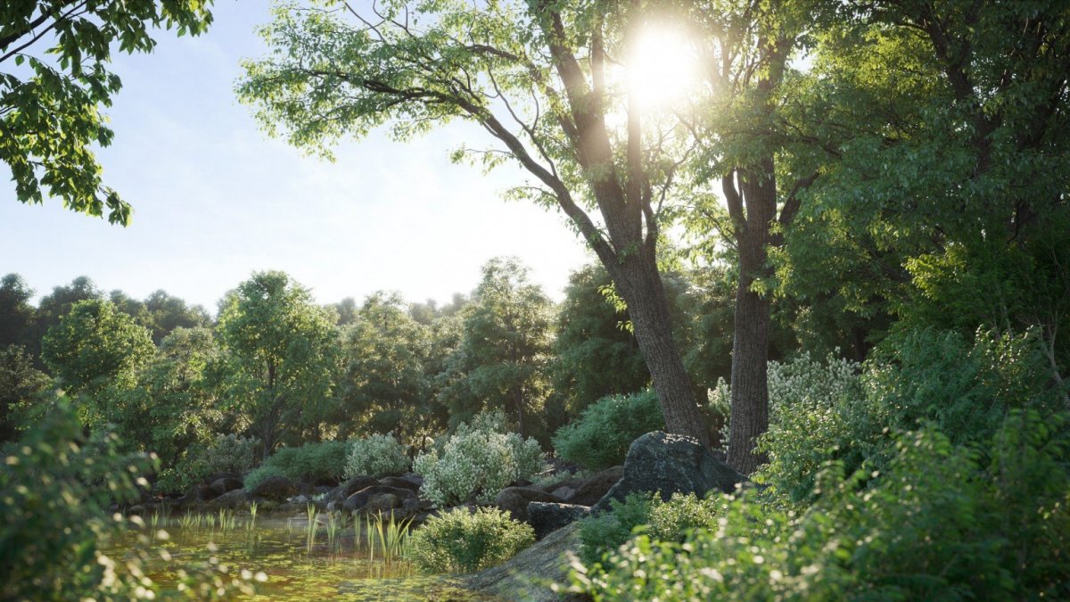 Вид за окном для 3д Макс