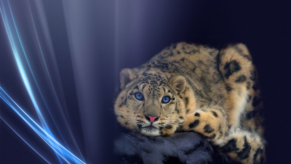 Светланка солнце Дручина