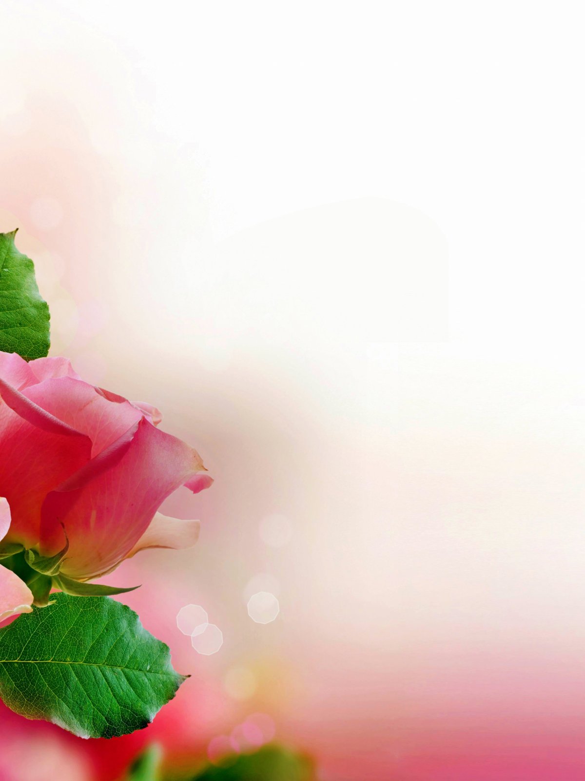 Красивый фон для открытки