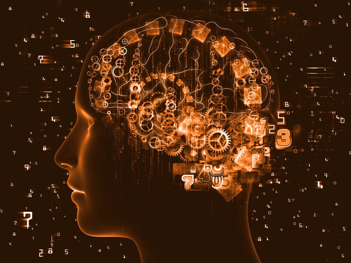 Мышление человека