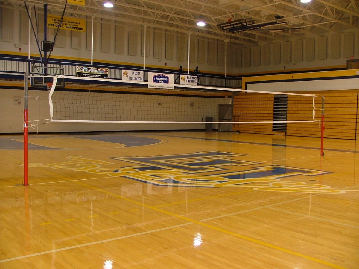 Аниме волейбол волейбольное поле