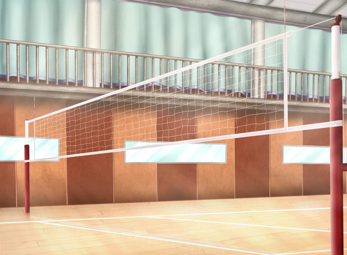 Волейбольная сетка аниме