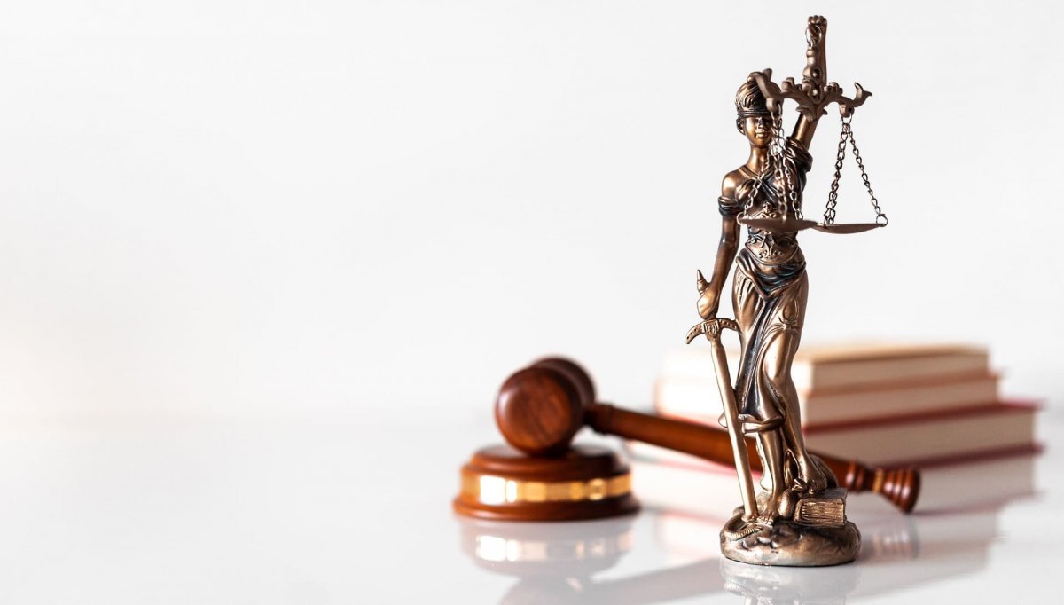 Профессия адвокат