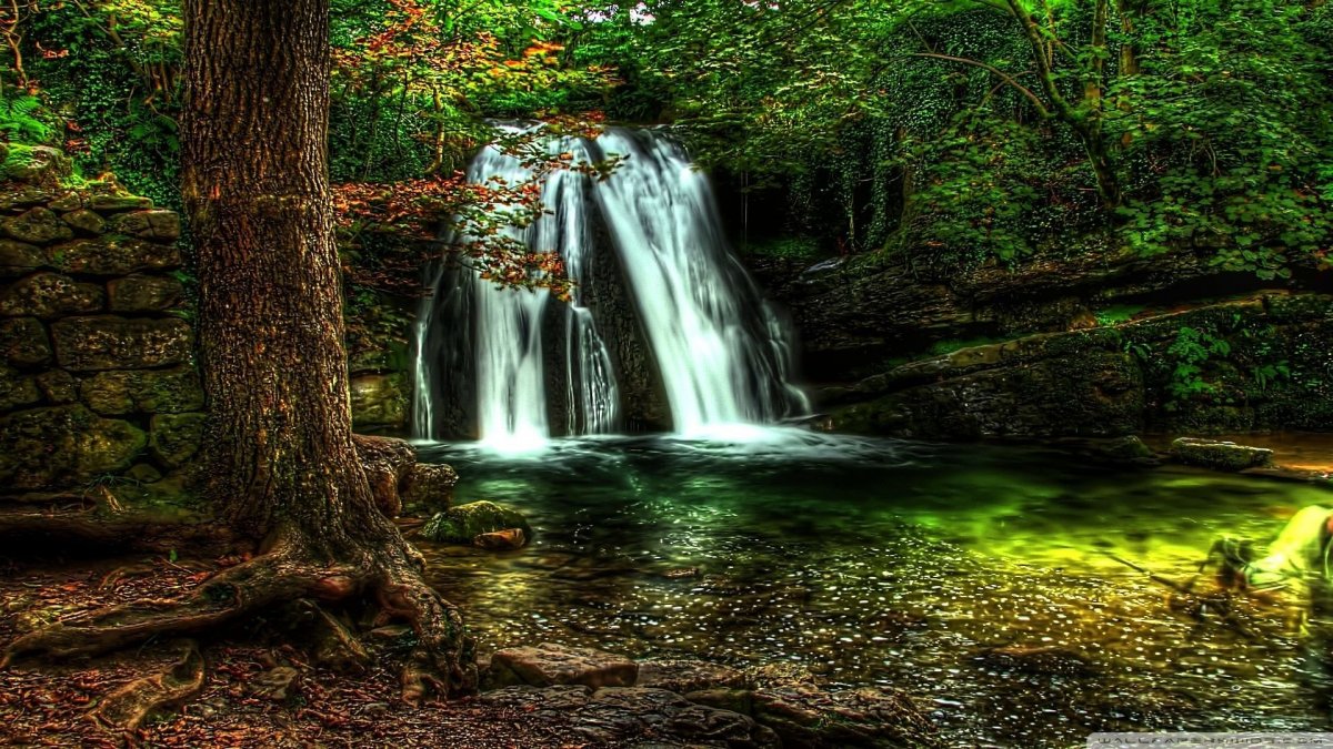 Водопад в лесу