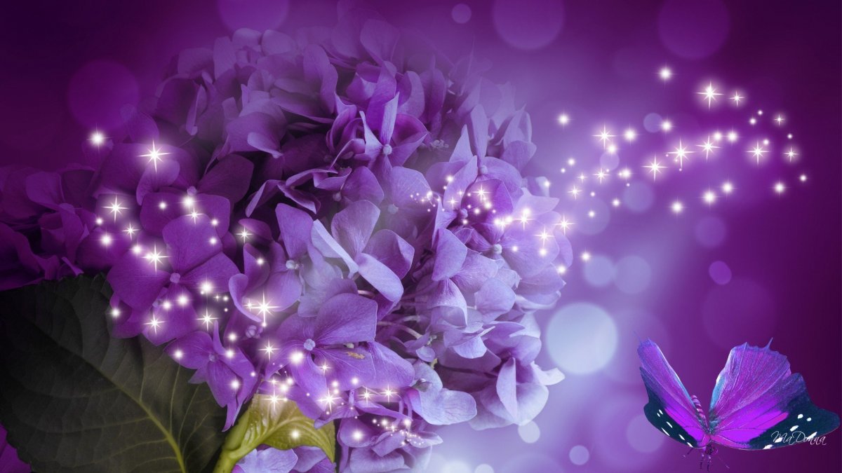 Сиреневый фон