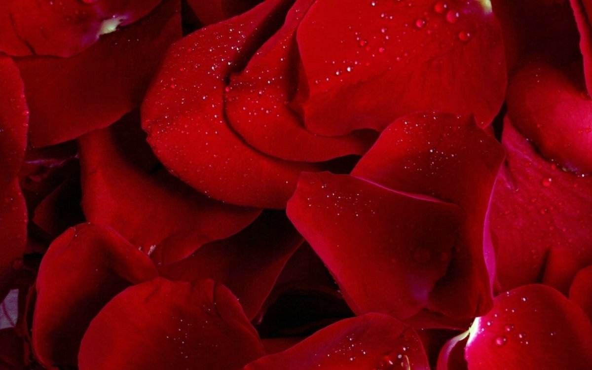 Красивый красный