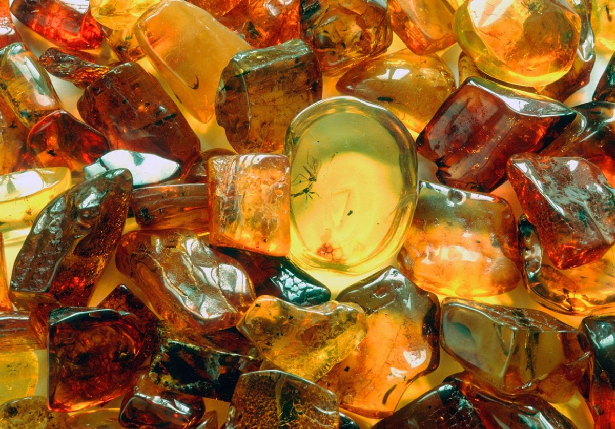 Янтарь камень