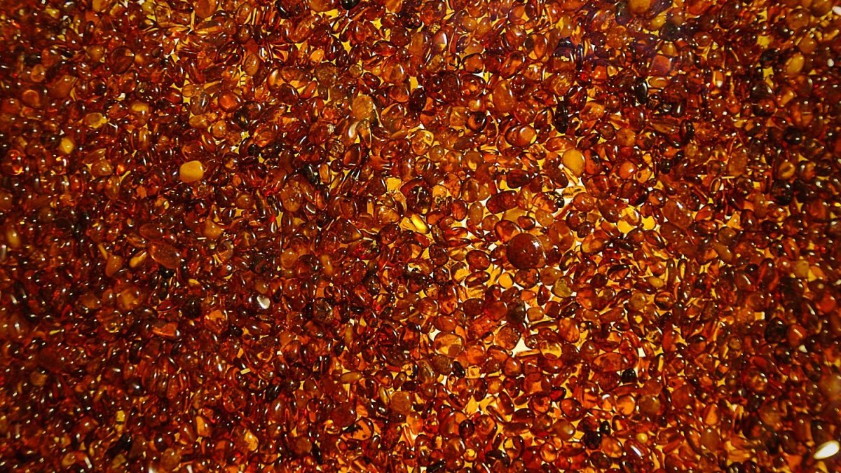 Россыпь янтаря