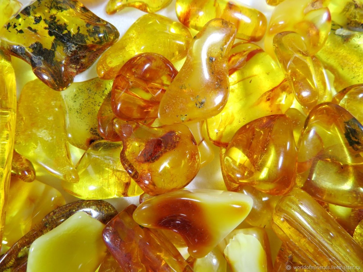 Янтарь камень Калининград