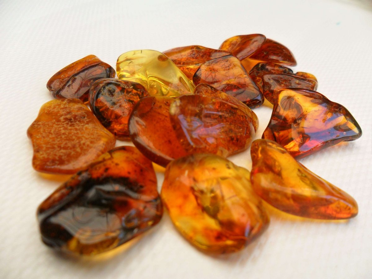 Амурский янтарь