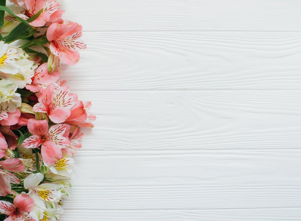 Красивый фон с цветами