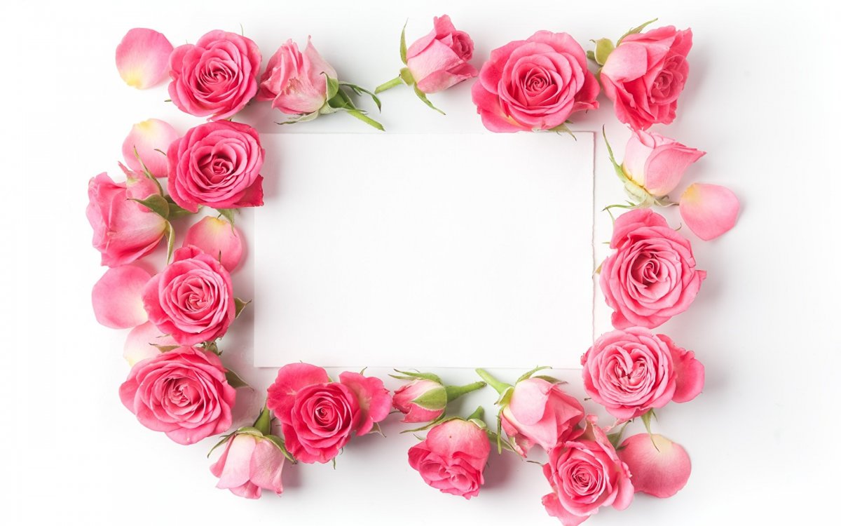 Рамка розы