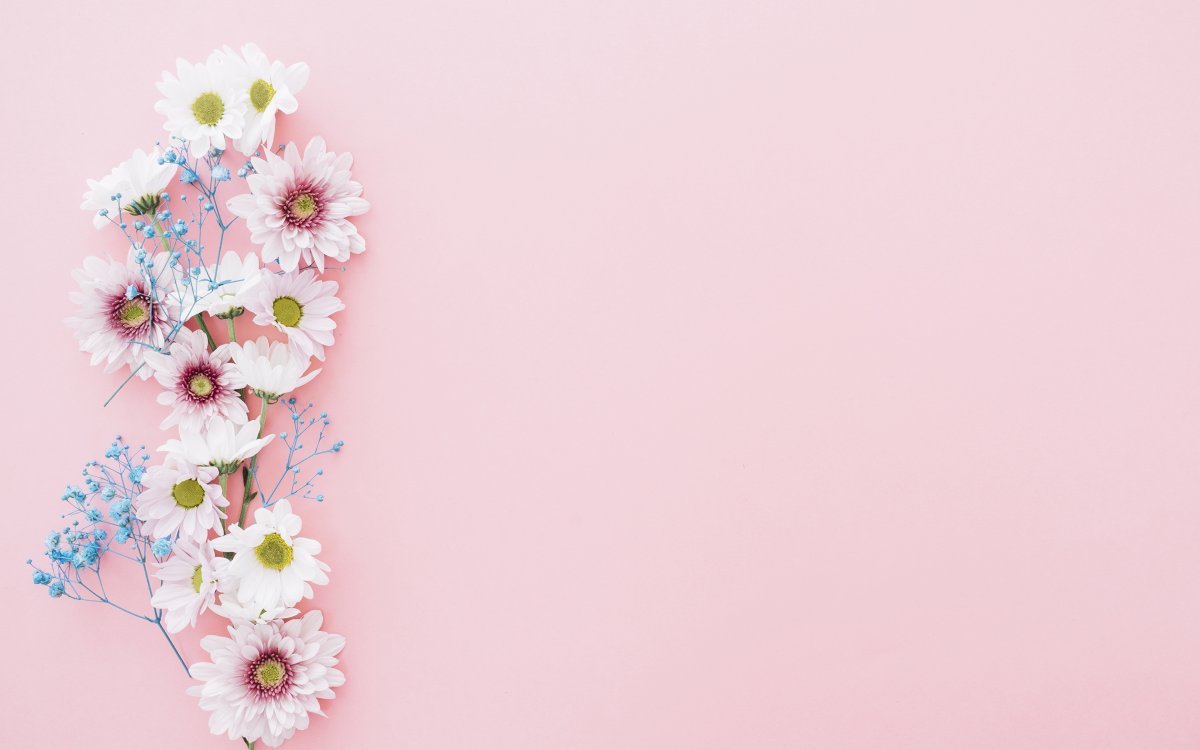 Стильный фон с цветами