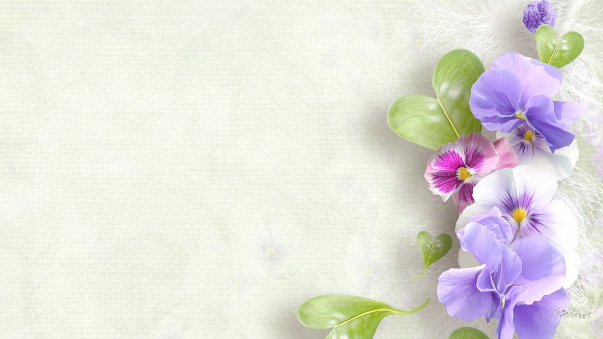 Фон с цветами для открытки