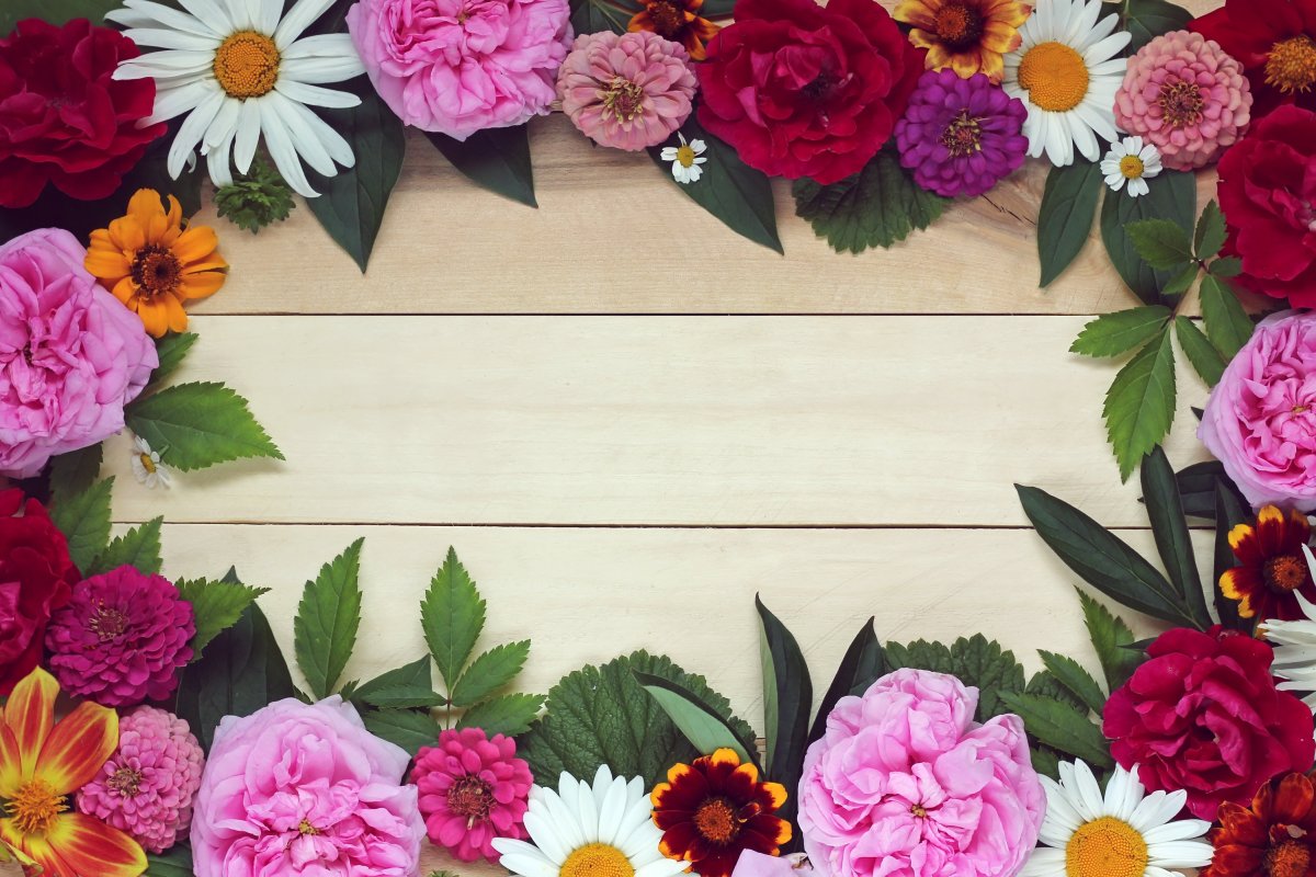 Баннер с изображением цветов