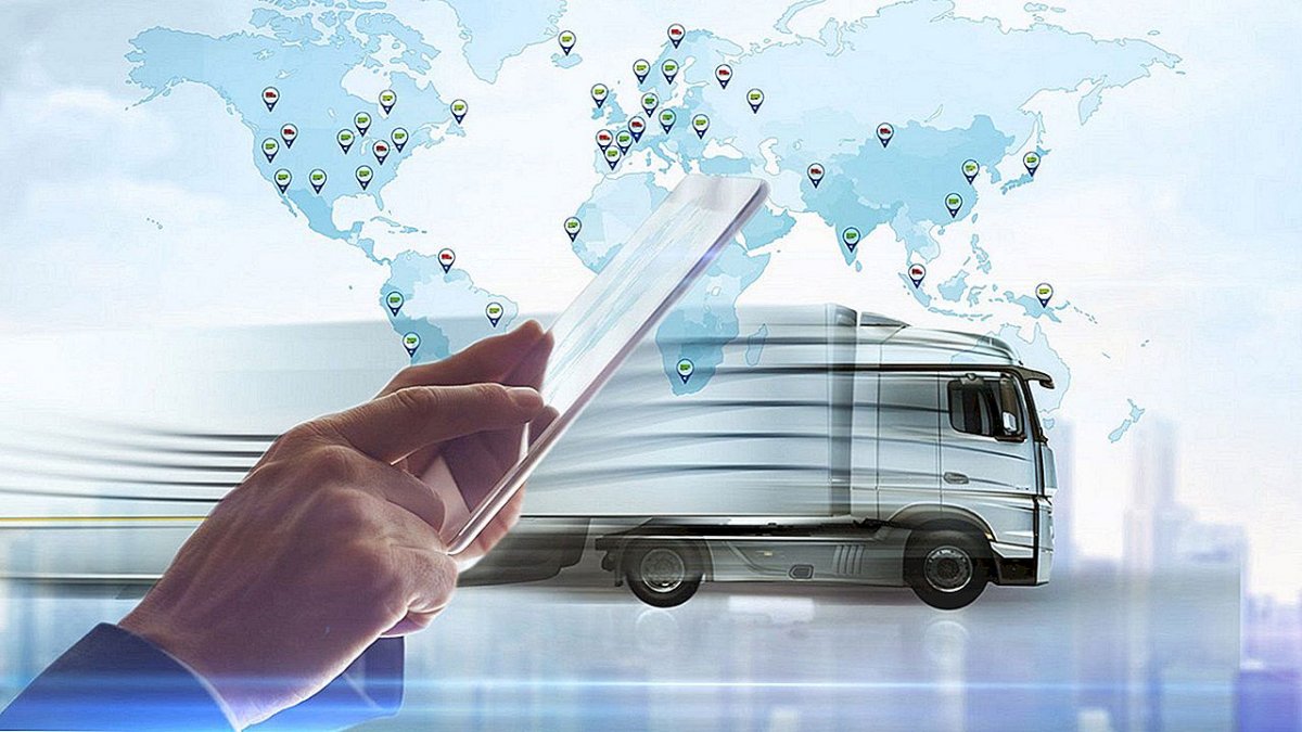 Мониторинг грузов