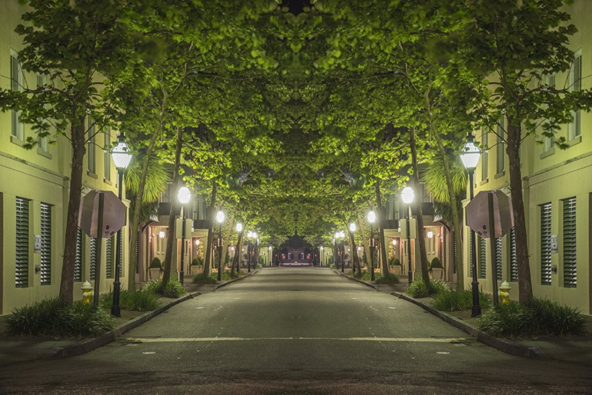 Город в зелени