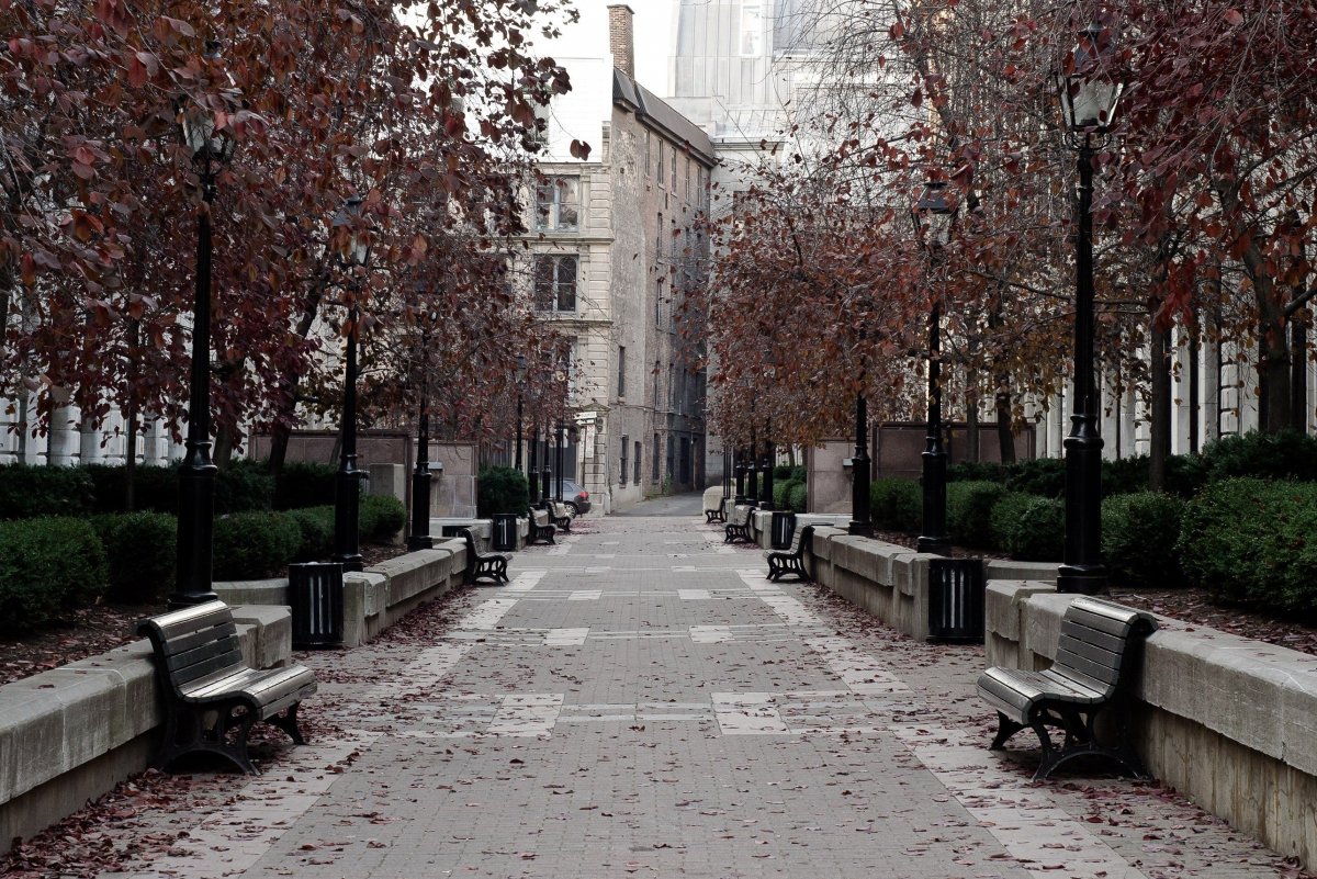 Осень в городе