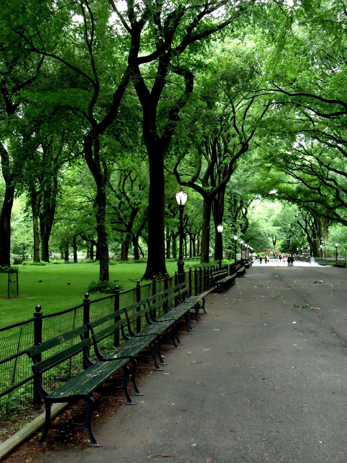 Риджинс парк