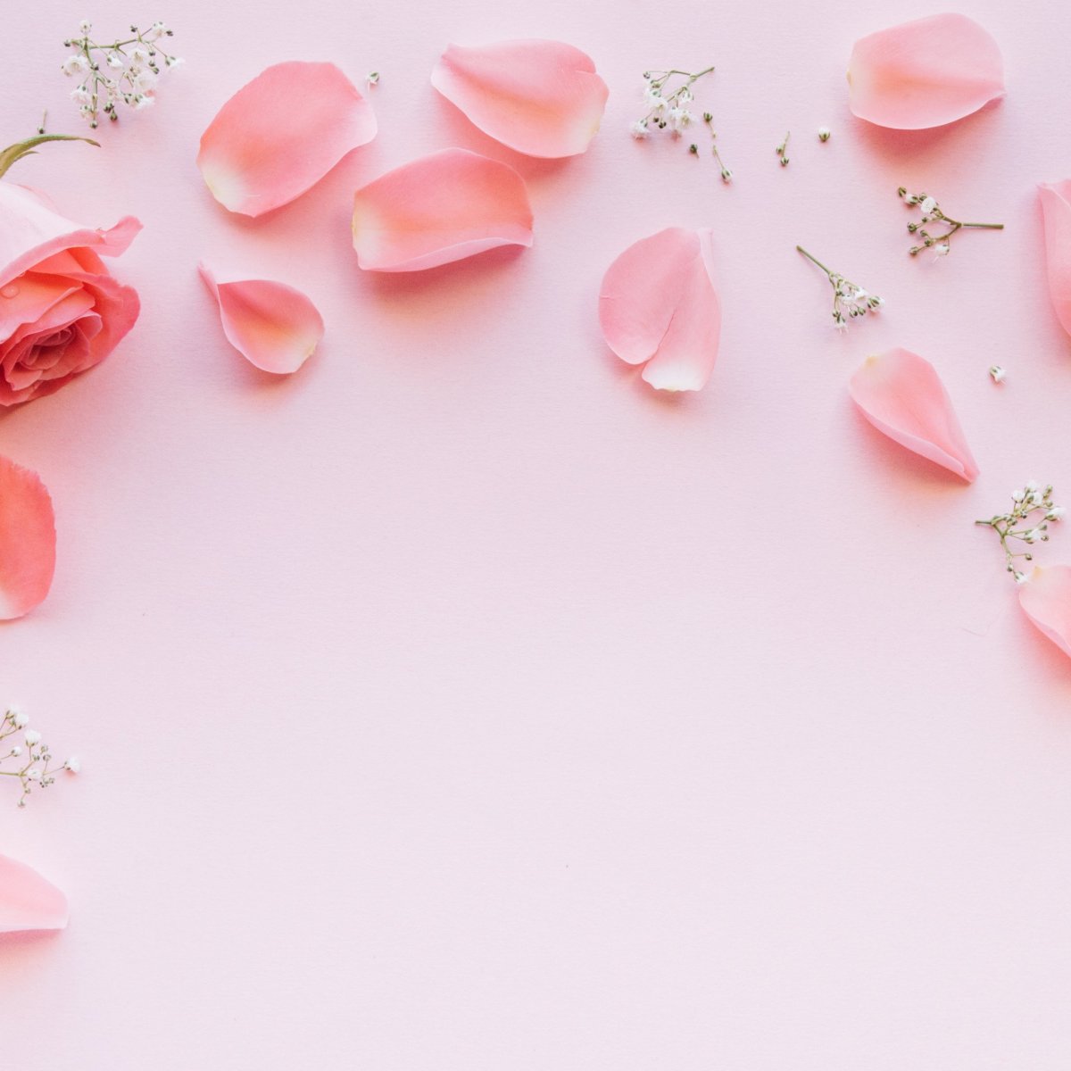 Нежнейшие пионы