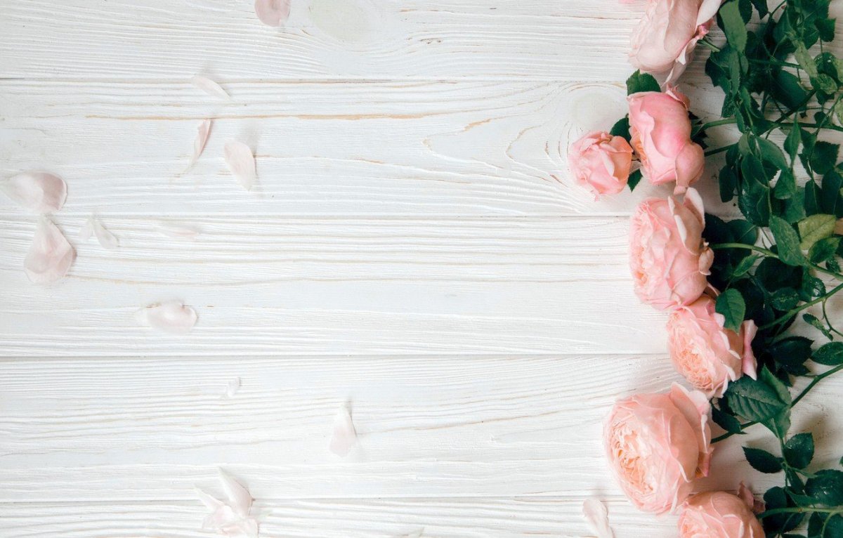 Светлый фон